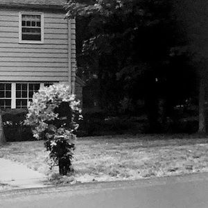 Meet your Posher, Iris